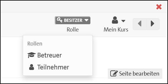 Die Rolle im Menüband wechseln