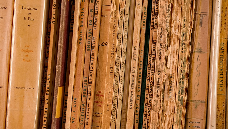 Französische Bücher im Regal